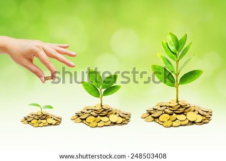 hand giving coins to trees growing on piles of golden coins with green background / business with csr practice