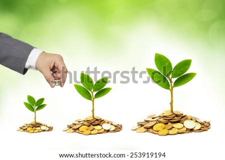 hand of a businessman giving coins to trees growing on golden coins - Business growth and wealth with csr concern