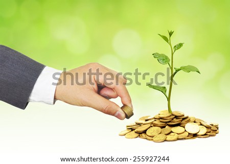 hand of a businessman giving coins to trees growing on golden coins with green background - Business growth and wealth with csr concern