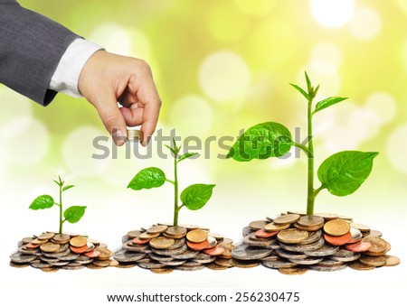 hand of a businessman giving coins to trees growing on golden coins with green background - Business growth and wealth with csr concern