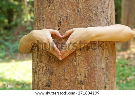 hands forming a heart shape around a big tree - protecting and love nature