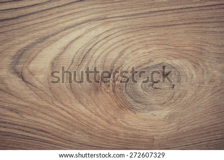 wood texture with natural wood ring pattern