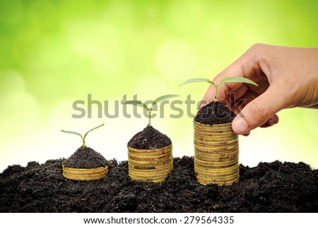 Hand holding stack of golden coins with young green trees / Business with csr practice and environmental concern