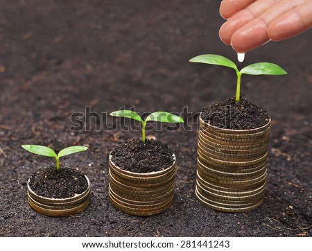 hand watering a young plant growing on stacks golden coins / Business with csr practice / Green Business