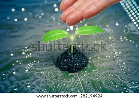 hand watering a tree growing on a computer circuit board / green it / green computing / csr / it ethics