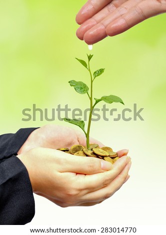 hand watering a young plant growing on stacks golden coins / Business with csr practice / Green Business