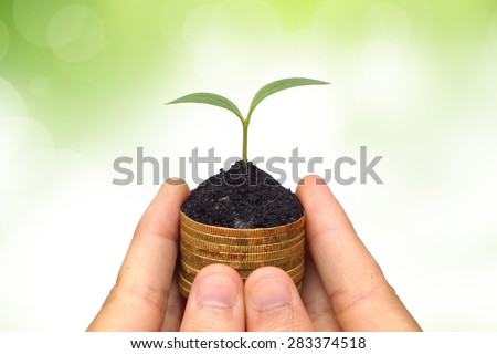 hand holding a young plant growing on a stack golden coins / Business with csr practice / Green Business