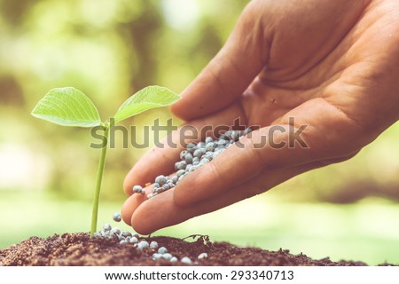 hand giving chemical fertilizer to plant on fertile soil