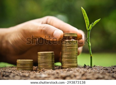 Business with csr practice / hand giving coins to stacks of coins in graph shape with a young plant