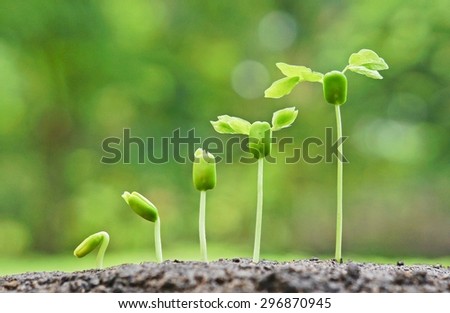baby plants growing in germination sequence on fertile soil with natural green background