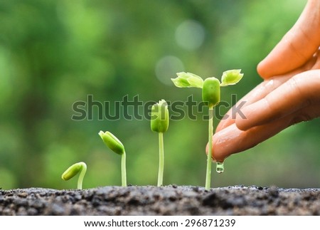 hand nurturing and watering young baby plants growing in germination sequence on fertile soil with natural green background