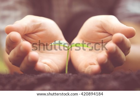 Agriculture. Hands growing and nurturing tree growing on fertile soil with green and yellow bokeh background / nurturing baby plant / protect nature