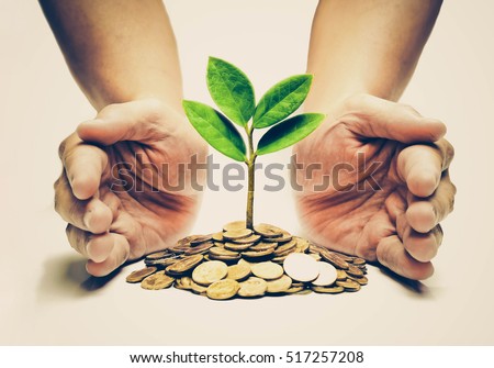 Palms with a tree growing from pile of coins / hands holding a tree growing on coins / csr green business / business ethics / good governance
