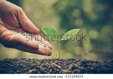 Agriculture / Nurturing baby plant / protect nature / planting tree