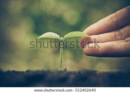 Hand gently touching a young baby plant growing on fertile soil with green background / Love nature