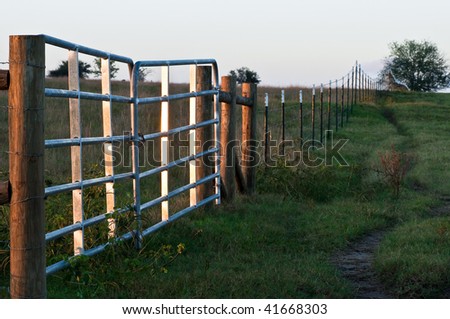 Cow Trail beside a Farm Fence and Gate