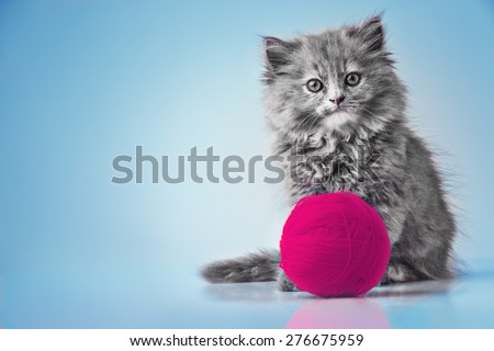 Cute kitten playing with pink ball of wool studio isolated