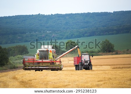 Working Harvesting Combine in the Field of Wheat