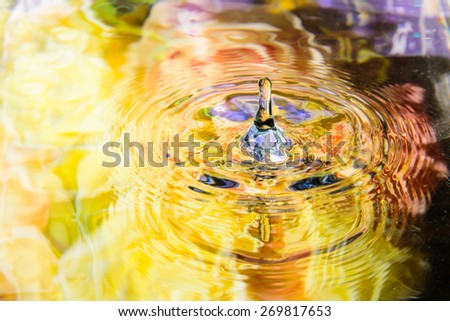 colorful flower of water reflection and water drop for background