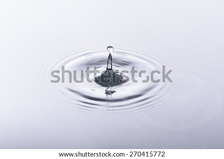 water drop and water reflection on white background