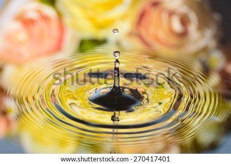 water drop on water reflection of colorful flowers