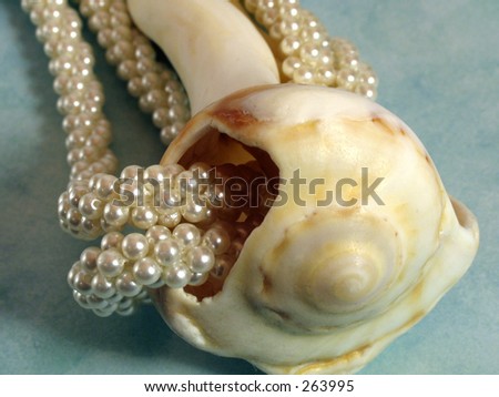 Shell with pearls on blue background
