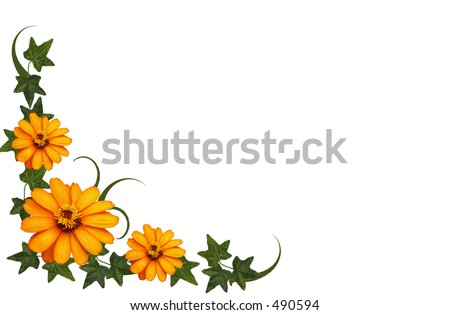 Orange flower and green vine border on white background