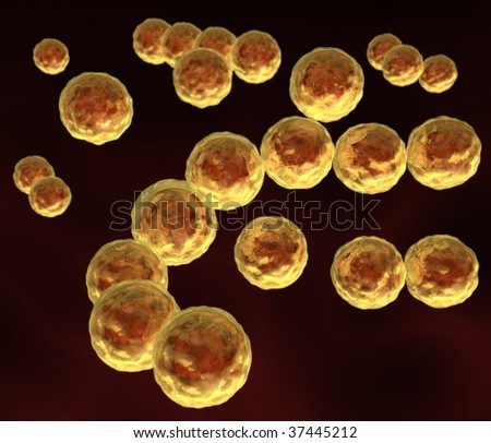 Shapes Of Bacteria. Rod-shaped-bacteria-are-called