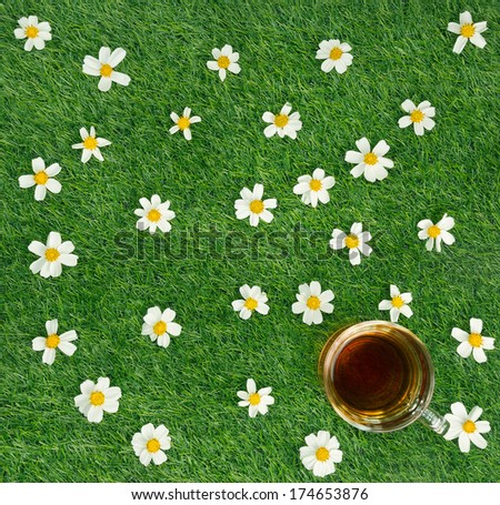 cup of chamomile tea on flowery meadow