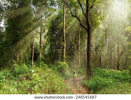 Little girl standing in woods surrounded by giant trees