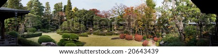 Japanese Maple in garden with lake panorama
