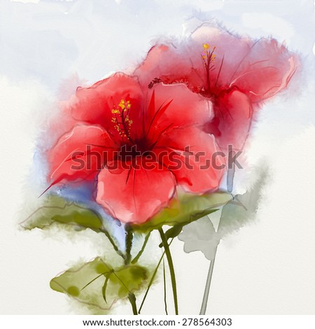 Watercolor painting red hibiscus flower . Hand Painted Close up of hibiscus floral petals in soft color and blurred  style on white background
