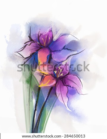 Watercolor painting violet lily flowers  blossom. Hand Painted Close up of lilies floral petals in soft color and blurred style on white background