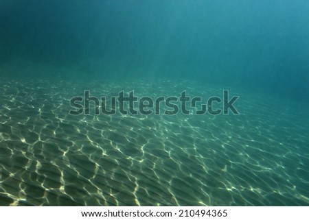 Underwater view of a clear ocean floor with sunlight shining through.