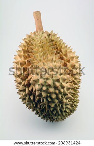 Durian of Thailand Best in the world