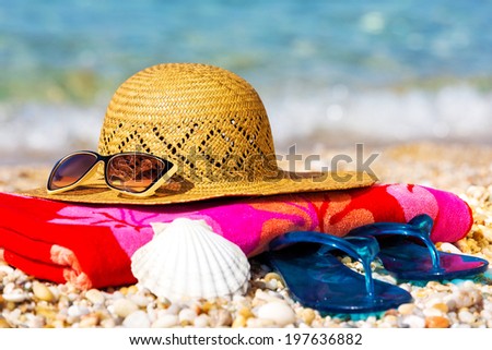 Beach and sea elements,at the sunny sea.