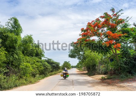 Asian woman riding motorbike on street in Quang Tri province, Vietnam.