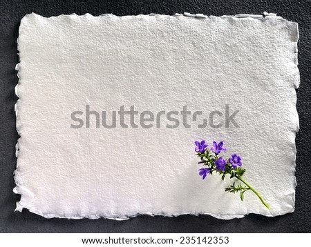 Handmade paper to demanding typo and email.Dark background, rustic surface white \
paper imposing form with fine purple flowers líve.