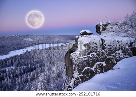 Full moon up the mountain forest in morning snow.