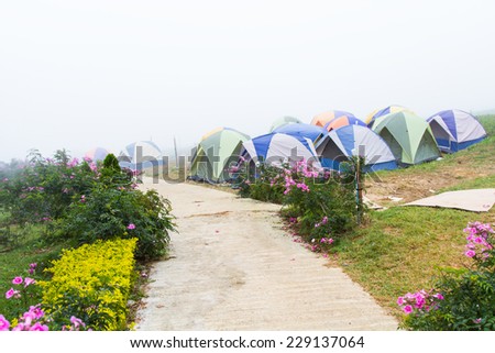 Going out in the winter fog and the tent of Thailand.