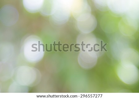 Bokeh background and abstract. It is a natural image.
