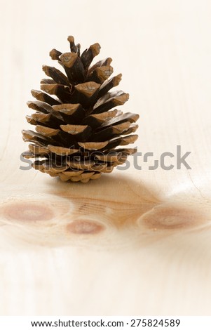 A pine cone on a pine wood background. cone on a pine wood background. cone on a pine wood background.