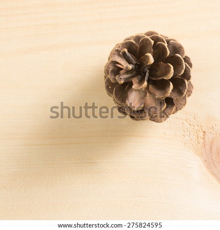 A pine cone on a pine wood background.