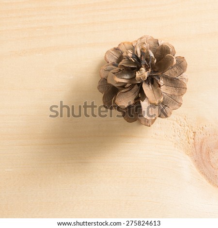 A pine cone on a pine wood background. cone on a pine wood background.