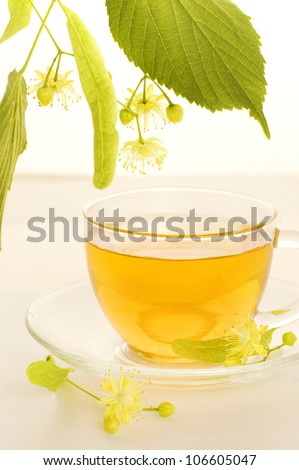 cup of tea with linden flowers and linden twig