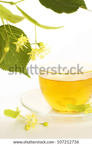cup of tea with linden flowers and linden twig