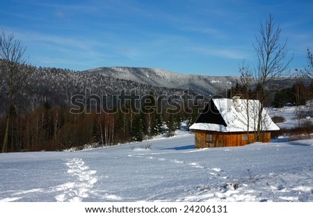 wooden old house in mountains