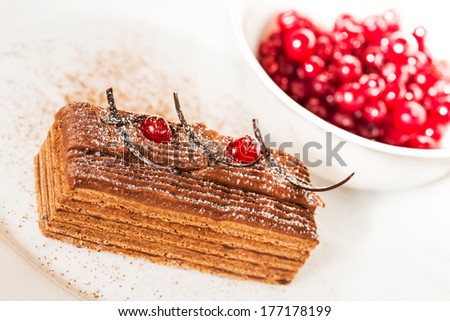 Honey cake with cranberry strewed by powdered sugar