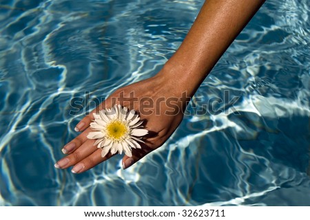 Women\'s hand in the water pool flowers.