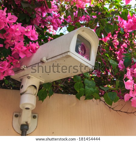 surveillance camera or cctv against nature